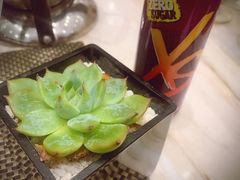 -新发展亚太JW万豪酒店·福苑咖啡厅