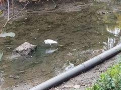 -杭州城北体育公园