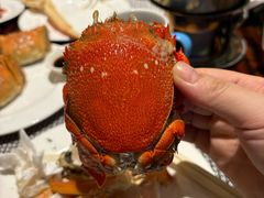-广州万富希尔顿酒店·感趣自助餐厅·金秋蟹宴生蚝海鲜刺身烧烤