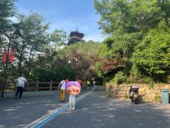 -杭州半山国家森林公园