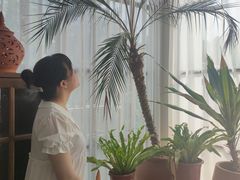 -满天星花园