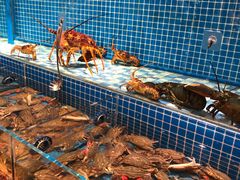 -蓝钻·国际美食海鲜自助百汇(西直门店)