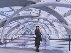 -凤凰中心