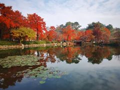 -白马涧龙池景区