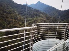 -南丹山森林王国