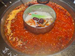 -蜀九香火锅(彩虹店)