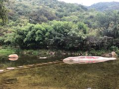 -武汉姚家山旅游景区