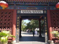 -大槐树寻根祭祖园