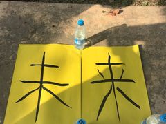 -苏州太湖迷笛