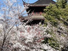 -堤角公园