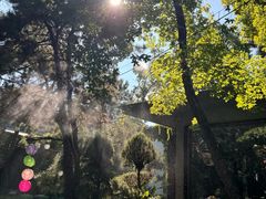 -熙古里艺术村