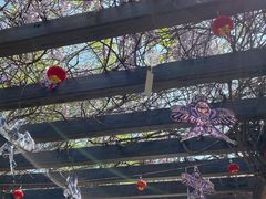 -白马涧龙池景区