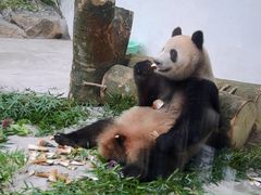 -杭州动物园