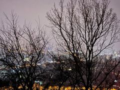 -大蜀山国家森林公园