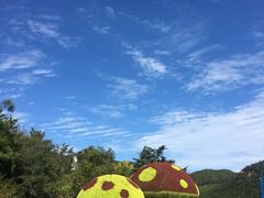 -怪坡茶馆