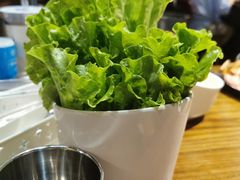 -·缸桶屋·韩式牛肋条自助烤肉(西湖D11店)