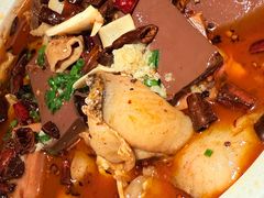 肥肠嗨血旺-煲煲好(朝阳门店)