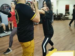 -温鉴良实用咏春拳