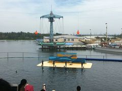 -秦皇岛乐岛海洋王国