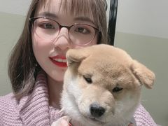 -逗柴咖啡屋·狗咖猫咖宠物桌游