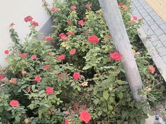 -纪家庙(地铁站)