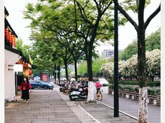 -运河游船(武林门码头)