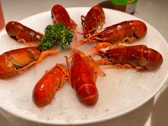 -红盔甲·小龙虾(天钥桥店)
