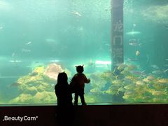 -洛阳龙门海洋馆