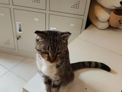 -平行世界·猫咖(首经贸店)