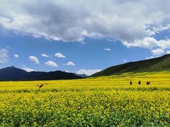 -扁都口生态休闲旅游区