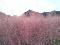 -昆嵛山石门里景区