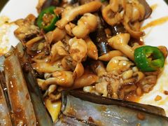 -鸿达渔港