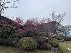 -雅达·阳羡溪山小镇中心