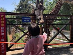 -昆明动物园