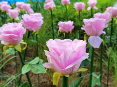 -南山图书馆(常兴路店)