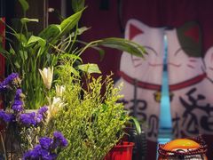 -春草居酒屋·晴子の店