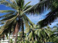 -三亚夏威夷大酒店