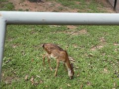 -深圳野生动物园