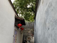 -塔巷