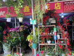 -溪岸路花鸟市场