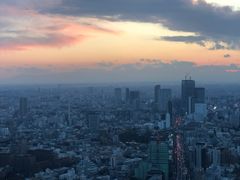-六本木新城展望台(东京城市景观)