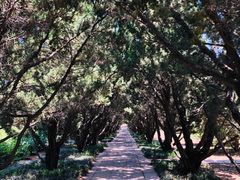 -洛阳古墓博物馆