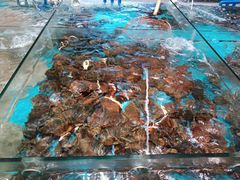 -尖沙咀大酒楼(罗村店·粤菜海鲜·宴会聚餐)