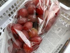 -马陆小张葡萄园农家乐