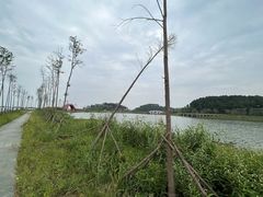 -梁子岛生态旅游区