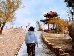 -白水寺森林公园