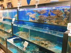 水产区-盒马鲜生(王府广场店)