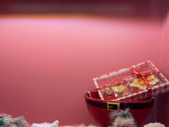 -FAELING PETS美天灵宠物(合生汇店)