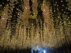 -阿鹏故事云南野生菌火锅(人民路店)