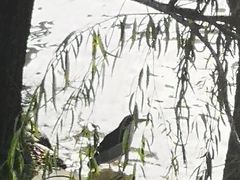 -苏州河梦清园环保主题公园